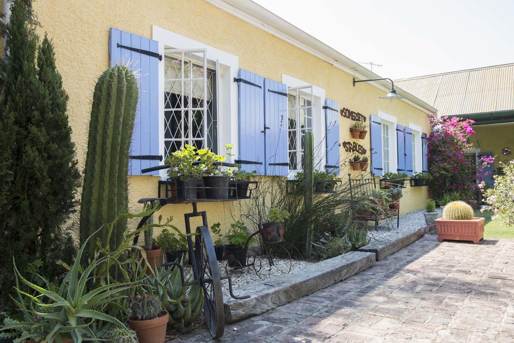Somerset Stables Graaff-Reinet Zewnętrze zdjęcie