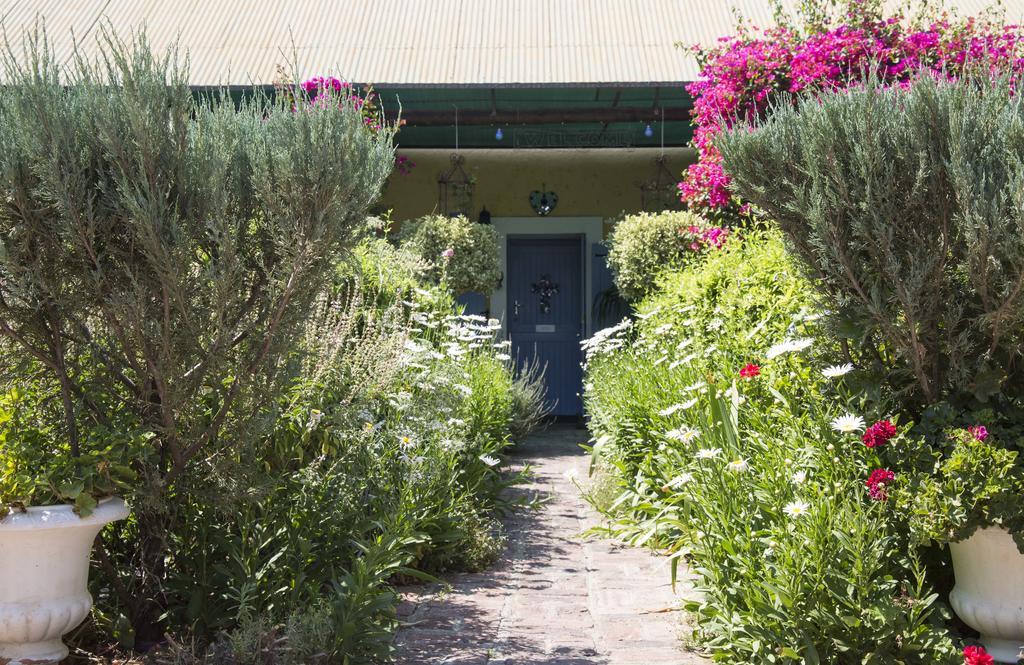 Somerset Stables Graaff-Reinet Zewnętrze zdjęcie